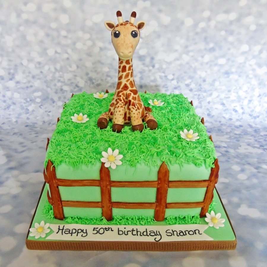 cakes barnstaple, cakes bideford, cakes north devon, baking north devon