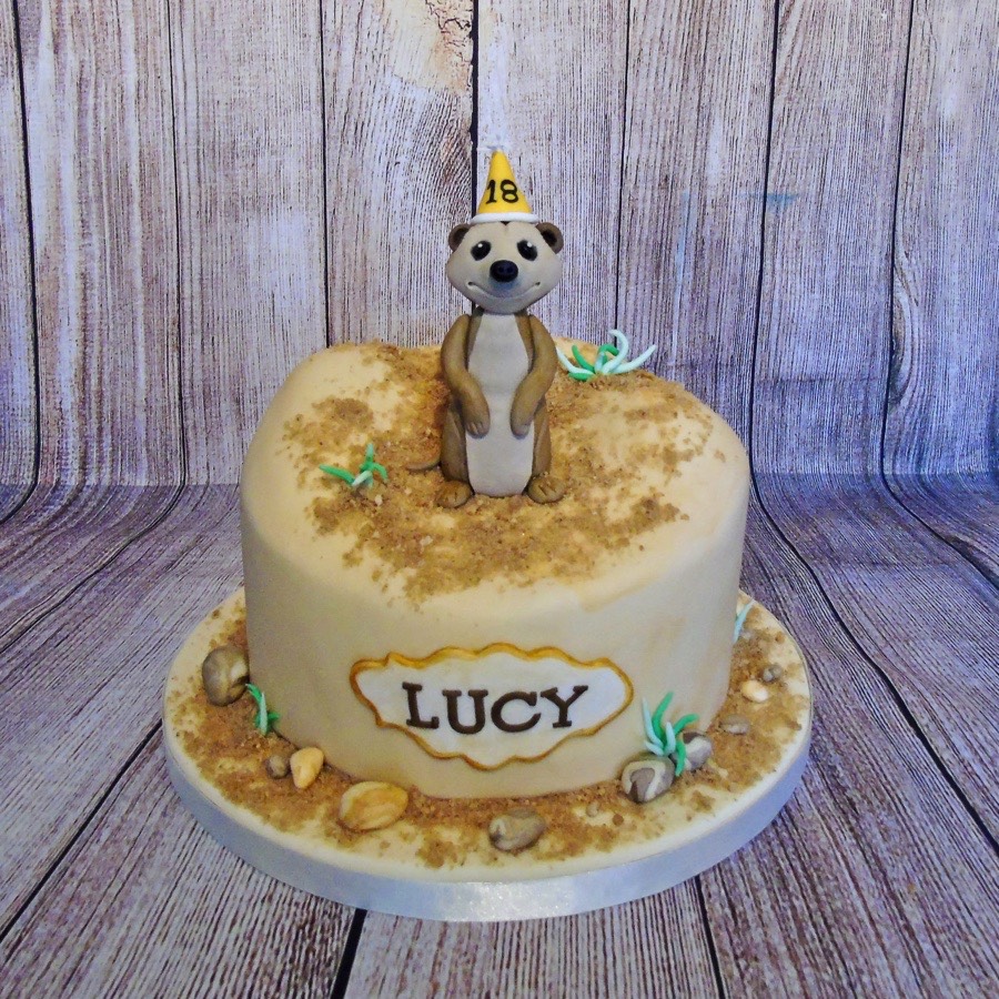 cakes barnstaple, cakes bideford, cakes north devon, baking north devon