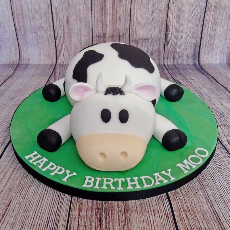 cakes barnstaple, cakes bideford, cakes north devon, baking north devon